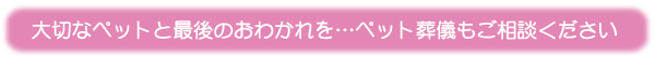 ペット専用の葬儀