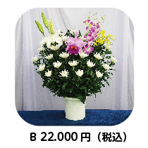 生花:菊B