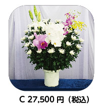 生花:菊C