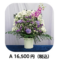 生花:洋花白紫A