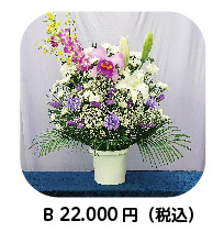 生花:洋花白紫B