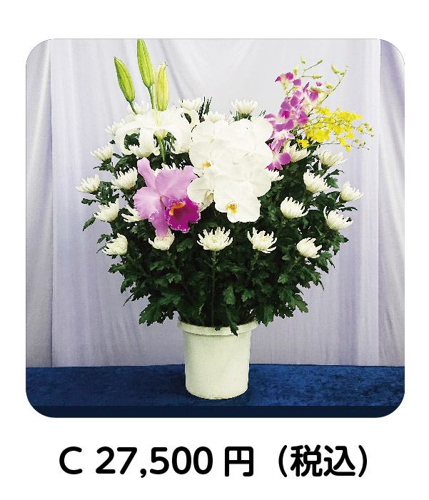 2022新作 Pre Autumn ③【3本】押し花 生花用 アルミ箔ロール 幅50cm