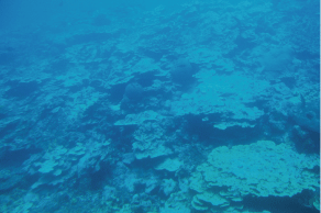 海への散骨